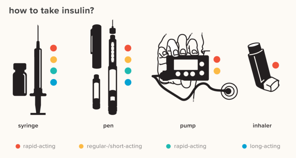 role of insulin